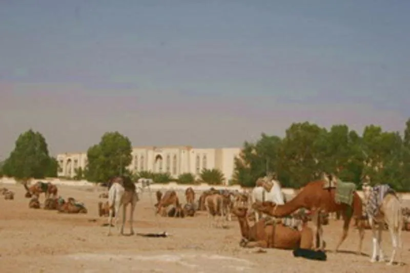 Kamele pred hotelom El Mouradi Douz v Sahari