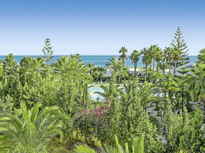 Pogled na morje skozi gosto tropsko rastje