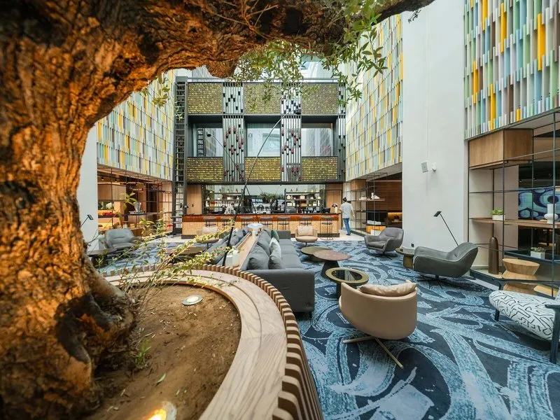 Moderna avla hotela z oljko in dizajnerskim pohištvom