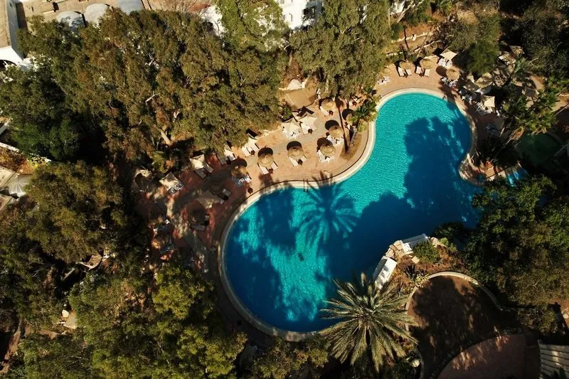 Pogled iz zraka na bazen v obliki lagune sredi vrta