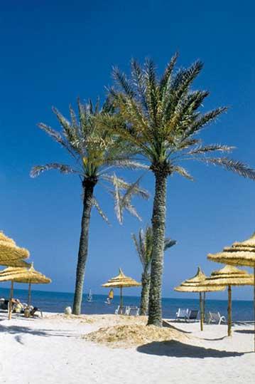 Club Hotel Palm Azur, slika 4
